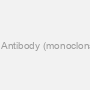 Monoclonal PLSCR1 Antibody (monoclonal) (M01), Clone: 1F9